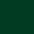 Color Logo - B18 - Verde Oscuro